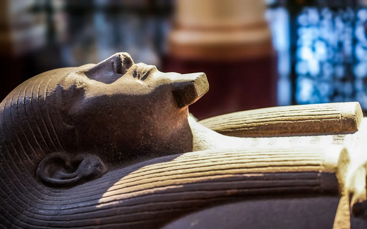 An Egyptian mummy on display